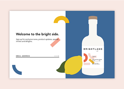 Daily UI 01: Sign Up Page brightland colorblock daily ui illustration signup ui ux