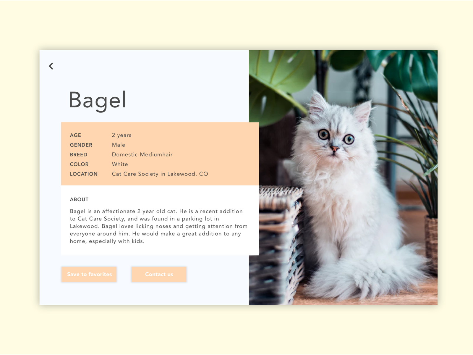 Daily UI 06: User Profile by Kelly Phillips on Dribbble