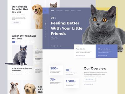 Pet website