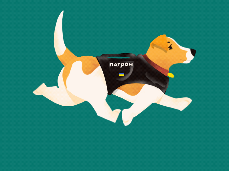 Animated dog Patron 2d animation animal animation branding cartoon character design dog explainer flat graphic design illustration motion graphics procreate ui video walk cycle website