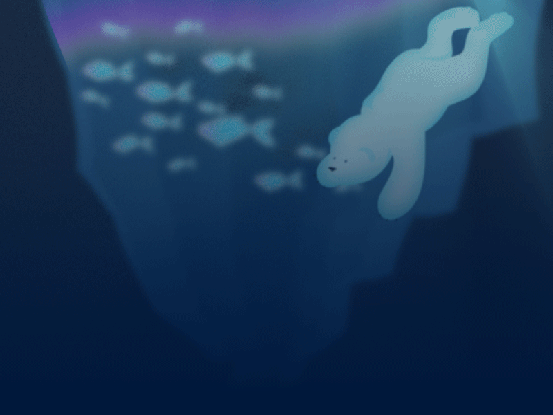Swim bear in Ocean