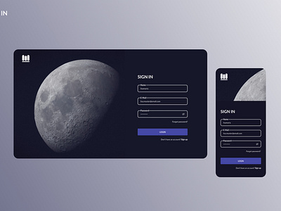 001 DAILY UI // SIGN IN