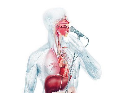 And IIEAAAY will always love you anatomy atlas medical singing