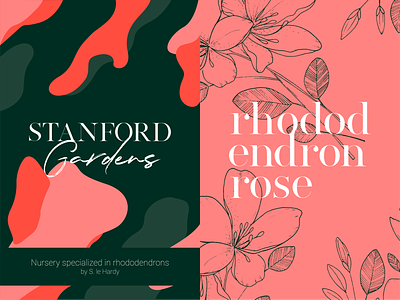Stanford Gardens | Rhododendrons nursery branding design flowers green illustration logo pink rebranding shape typography