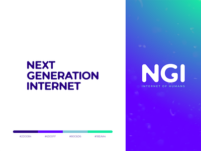 Next Generation Internet