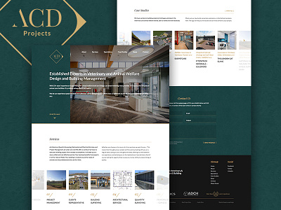 ACD Projects - Website Design design web website