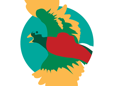 Quetzal Bird bird bright cintiq illustrator vector wacom