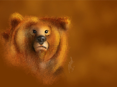 Grumpy Bear apple pencil art bear digital illustration ipad pro sketch