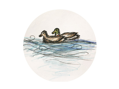 Drawing of ducks aquarell brush drake drawing duck ducks line liner sketch water wavelet