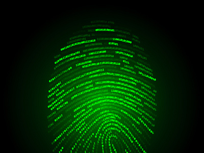 Binary fingerprint