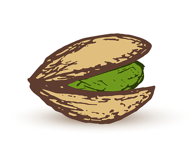 Pistachio drawing nut pistachio vector