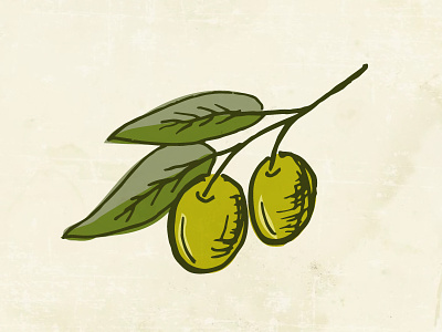 Olive sprig branch doodle drawing leaf leaves olive simple sprig