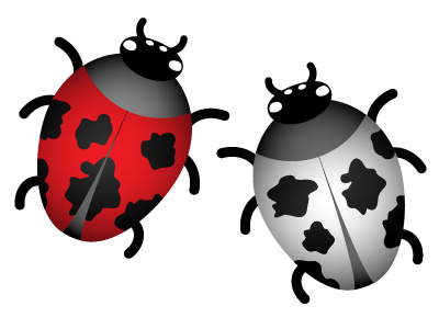 Buggalo and crossbreed bug buggalo cow holstein ladybug spotted
