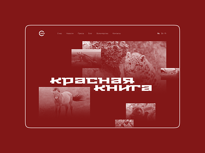 Дизайн сайта красной книги в стиле миниморфизм