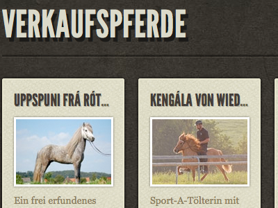 Verkaufspferde horses icelandic league gothic textures typography website