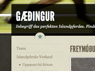 Subpage horses icelandic league gothic textures typography website