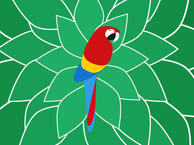 Parrot bird colors jungle parrot