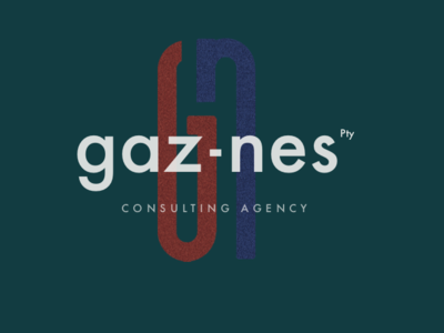 Gaz Nes consulting corporate branding graphic design identity logodesign