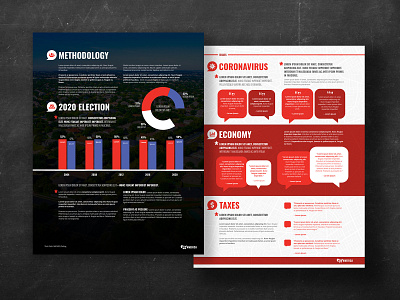 Voter Research Report infographic information design layout