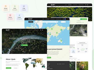UI Concept | Qude CSR website branding design ui ux web website