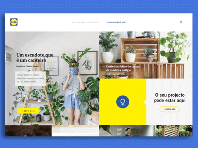 Lidl designs, themes, templates and downloadable graphic elements on  Dribbble