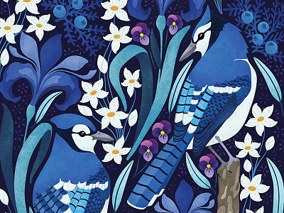 Canadian Blue Jays birds blue colour design illustration jay montreal nature pattern quebec