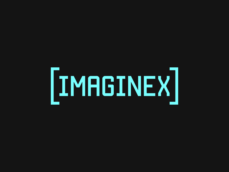 Imaginex Bumper GIF animation branding gif identity logo vector