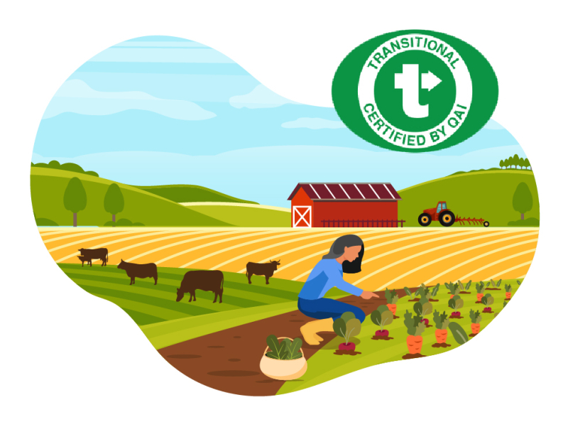 Farming by Polly Melnik on Dribbble