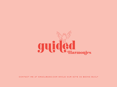 guided harmonies - brand application play