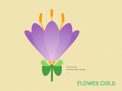 Crocus brand creative direction crocus design flower child flowers identity illustration spring thewayfindercompany wildflowers youth