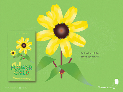 Brown eyed Susan assets augmented reality brand branding canadian rockies creative direction design field guides flower specimens gamification graphic design hike hike with kids identity illustration thewayfindercompany trail time wild flower child