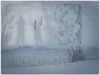 live in the woods fish creek provincial park illustration live in the woods winter