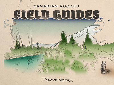 Fenland Trail Field Guide covers creative direction design hike illustration thewayfindercompany type