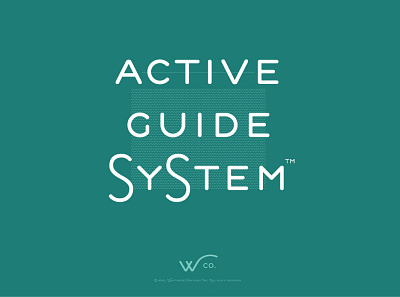 Take 2 - Active Guide System TM 2019 brand creative direction design hike identity illustration maps myth thewayfindercompany typography use vector