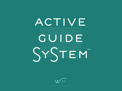 Take 2 - Active Guide System TM