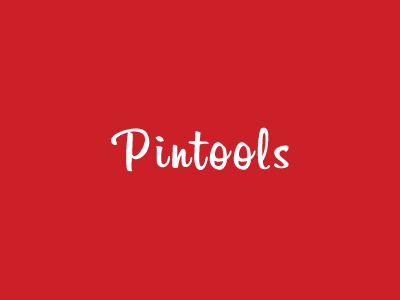 Pintools Logo pinterest