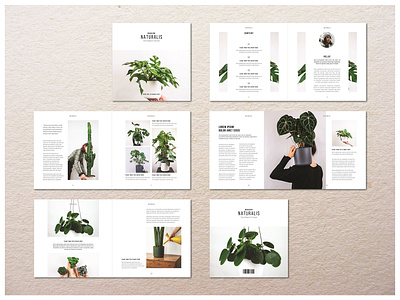 Square Naturalis Magazine catalog indesign template magazine magazine template nature portfolio portfolio template square template template
