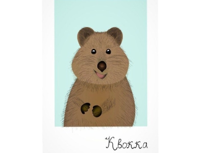 One of the most positive animals animal app quokka