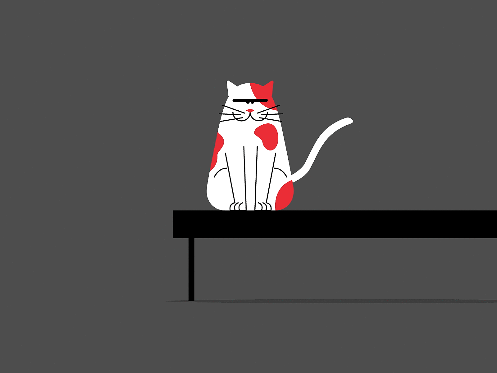 Bad cat aftereffects animation cat design flat illustration illustrator minimal vector