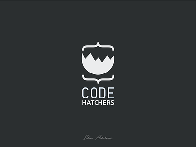 Logo Exploration for Code Hatchers brand design branding logo logo design