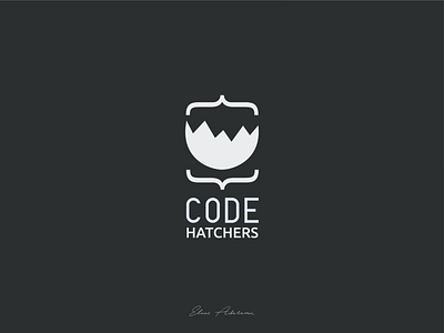 Logo Exploration for Code Hatchers