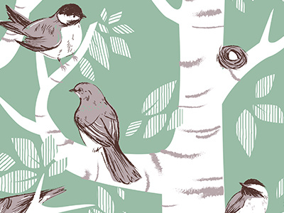 Birch Birds birds cute digital illustration illustrator line nature vector