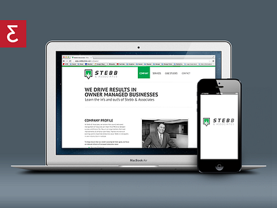 Stebb & Associates Branding and Web branding business css eden creative finances green identity logo process results type web