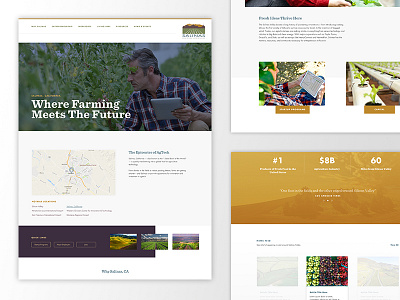 Salinas Valley california design farming grid healthy logo web