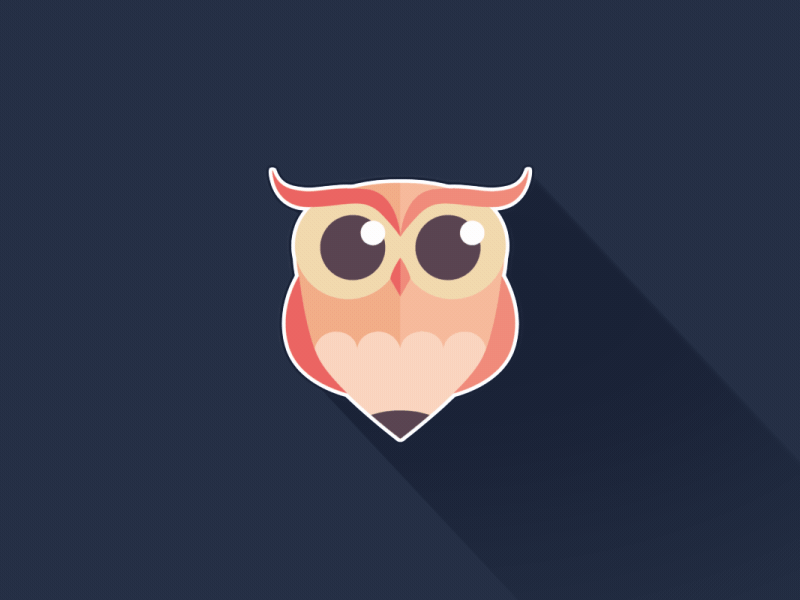 Owl Logo animation logo motion owl toon