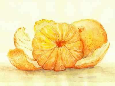 Tangerines fine art food food art illustration print sketch watercolor