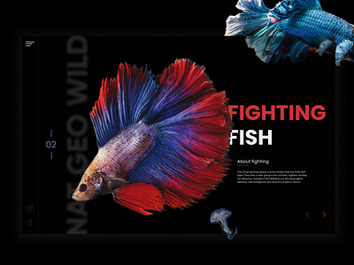 FIGHTING FISH banner blur colorful creative design fish fishes fishing homepage illustration interaction design noise uiux design ux