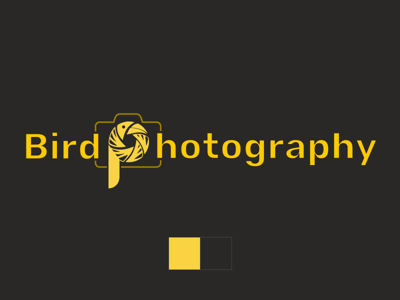 Bird Photography logo concept type minimal flat lettering web illustrator website illustration logo design ui design identity typography vector design branding