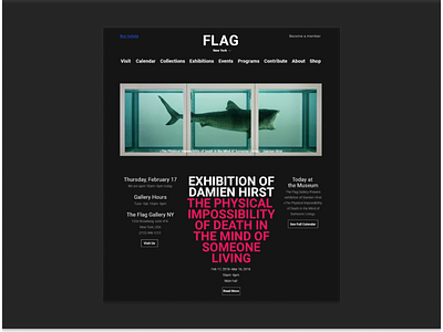Flag Gallery #3 design typography ui ux web website