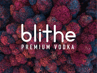 BLITHE Vodka Logo beginner branding design flat illustration logo web